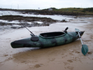 Barra kayak fishing package