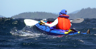 Gecko sea kayak