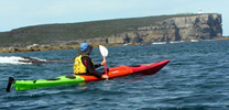 Iguana sea kayak