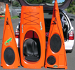 Iguana sea kayak