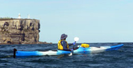 Salamander sea kayak