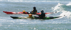 Salamander sea kayak