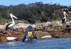 Salamander sea kayak