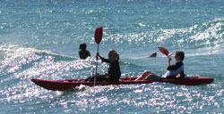 Cuttlefish sit on top kayak