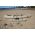 Bushranger Standard  Fishing Canoe with Single Outrigger by Australis