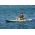 Squid Sit-on-Top Angler Kayak with Pod by Australis