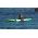 Australis Pelagic High-volume Sit-on-Top Kayak for Sale