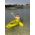 Australis Squid  Sit-on-Top Kayak for Sale